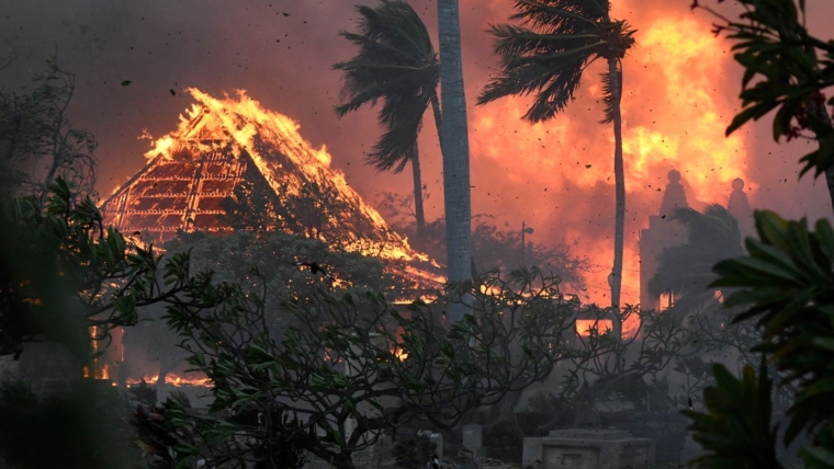 36 قتيلا على الأقل وإجلاء الآلاف في هاواي جراء الحرائق